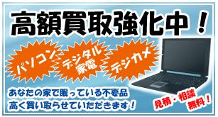 No.1Υѡ
