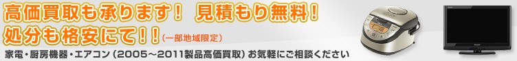 ꥵ륷åHOTCOOLꥵ