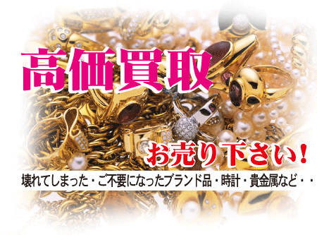 䡡ʸܶŹ